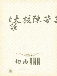t大校陈若芸小说