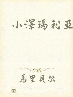 小泽玛利亚作品