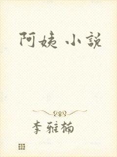 阿姨 小说