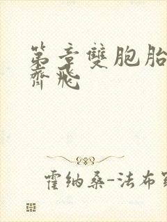 第章双胞胎姐妹齐飞封面