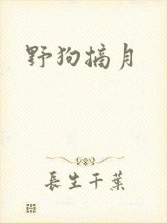 野狗摘月