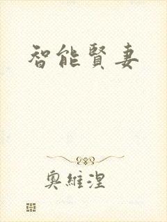 智能贤妻