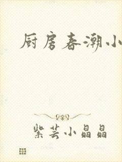 厨房春潮小说封面
