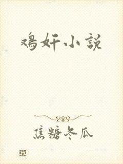 鸡奸小说