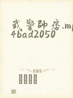 武警帅痞.mp4bad2050
