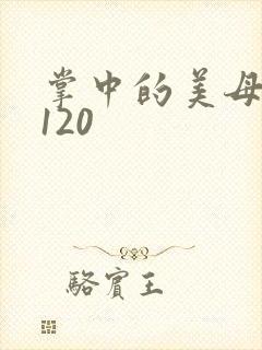 掌中的美母版主120封面