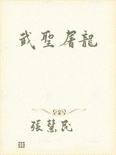 武圣屠龙封面