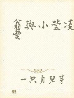 翁与小莹凌晨欢爱