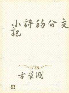 小诗的公交车日记封面