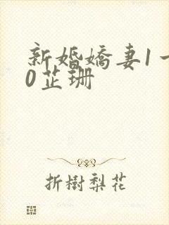 新婚娇妻1一40芷珊封面