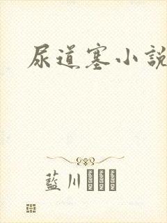 尿道塞小说