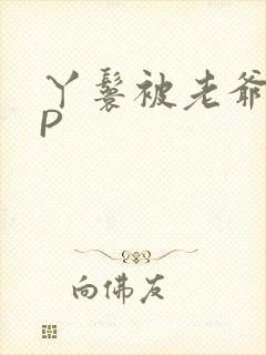 丫鬟被老爷玩NP封面