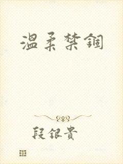 温柔禁锢封面