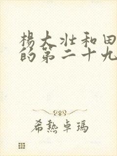 杨大壮和田桂花的第二十九封面