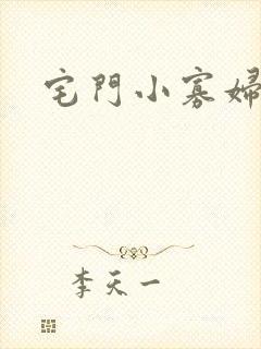 宅门小寡妇