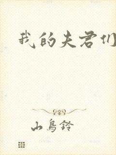 我的夫君们