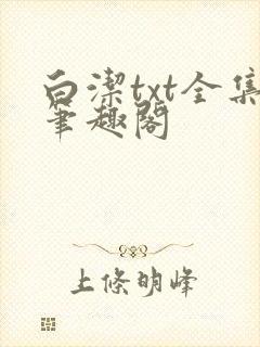 白洁txt全集笔趣阁