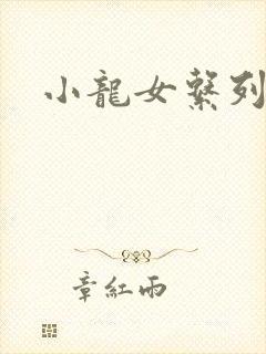 小龙女系列小说