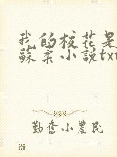 我的校花是福姬苏柔小说txt
