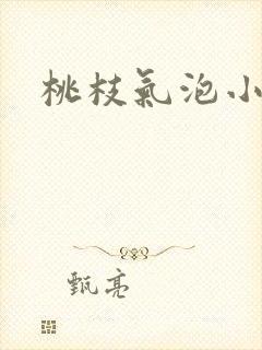 桃枝气泡小说