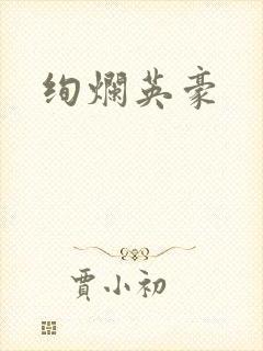 绚烂英豪
