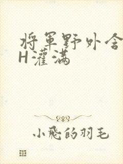将军野外含公主H灌满
