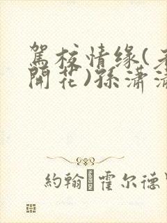 驾校情缘(老树开花)孙潇潇笔趣阁封面
