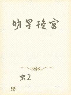 明星后宫
