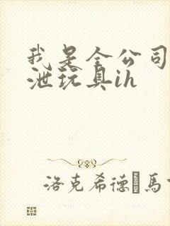 我是全公司的发泄玩具ih封面