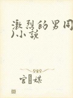 激烈的男同(h)小说
