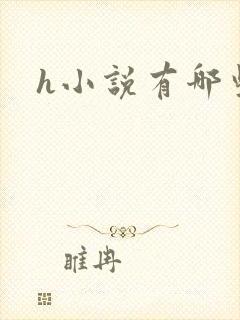 h小说有哪些