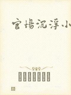 官场沉浮小说封面