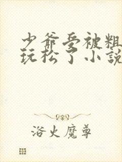 少爷受被粗汉H玩松了小说