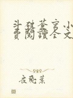 斗破苍穹小说免费阅读全文无弹窗封面