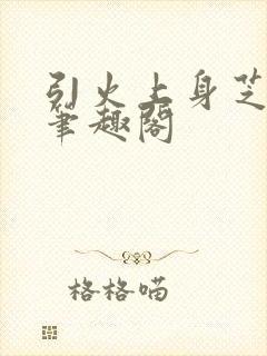 引火上身芝麻糖笔趣阁封面