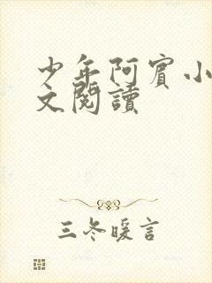 少年阿宾小说全文阅读封面