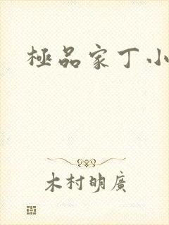 极品家丁小说