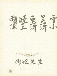 赵晓东吴雪晴郑伟王潇潇小说名字