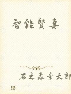 智能贤妻封面