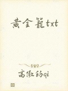 黄金笼txt
