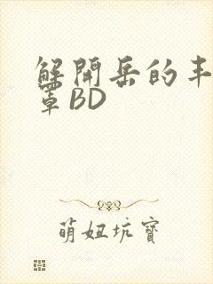 解开岳的丰满奶罩BD封面