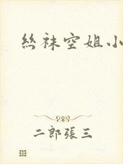 丝袜空姐小说封面