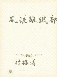 风流组织部长封面