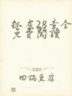 抓灰28章全部免费阅读
