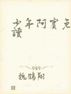 少年阿宾免费阅读