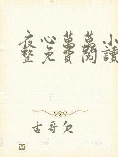 夜心万万小说完整免费阅读全文