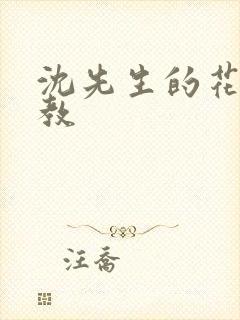 沈先生的花式管教