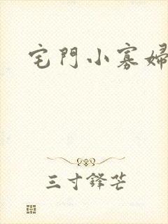 宅门小寡妇