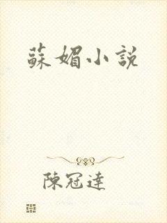 苏媚小说封面