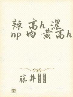 辣 高h 浓 np 肉 黄高h